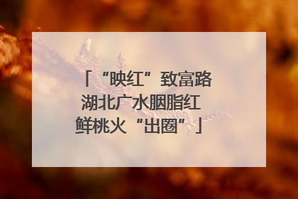 “映红”致富路 湖北广水胭脂红鲜桃火“出圈”
